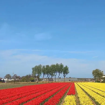 Aan Kagerplassen *